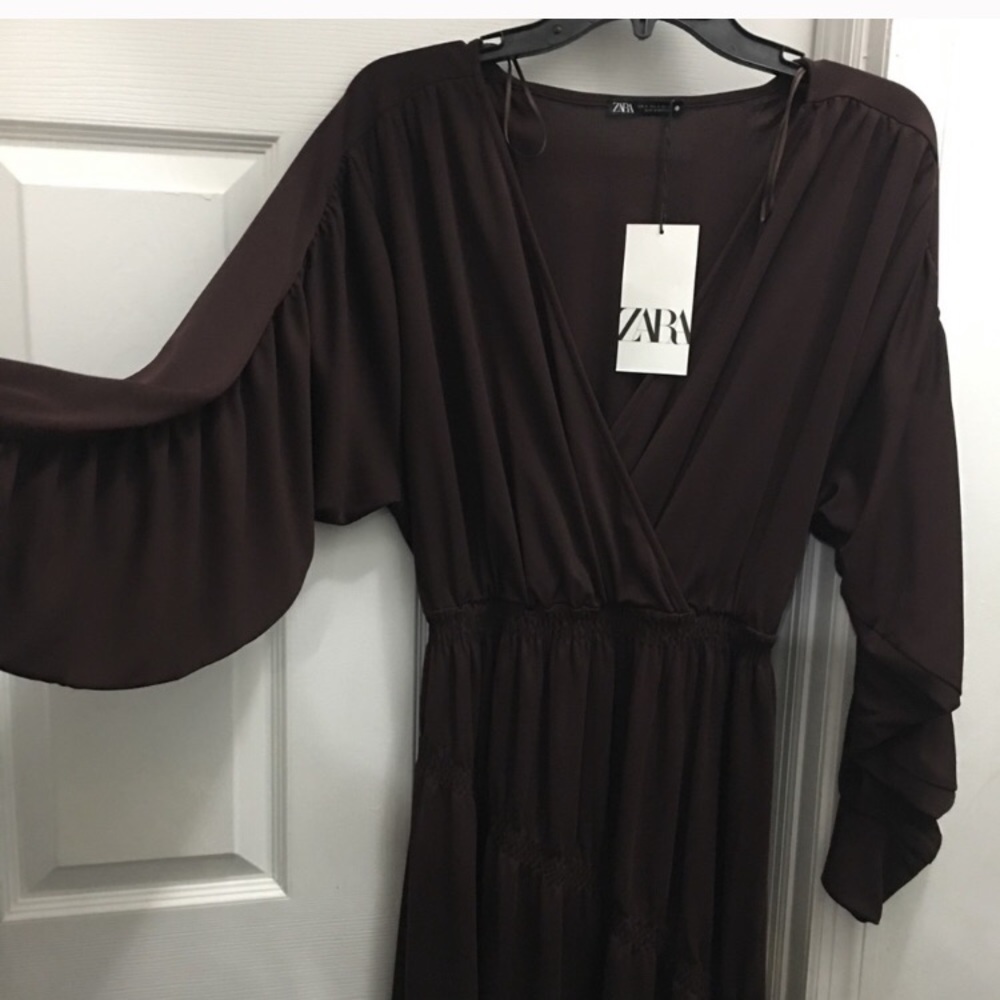 NWT. ZARA. Gorgeous, unique sleeves.